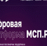Около 30 полезных онлайн-сервисов доступно вологодским предпринимателям на цифровой платформе «МСП.РФ». - Белозерский муниципальный округ